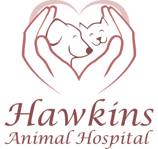 Hawkins Animal Hospital