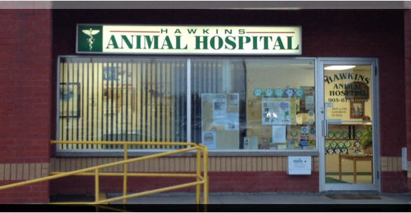 Dog Entrance